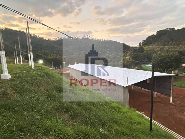Galpão para Venda em São Paulo - 4