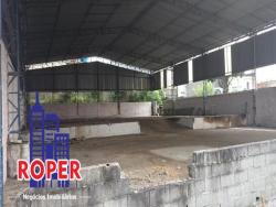 #TE00039 - Terreno para Venda em São Paulo - SP - 3