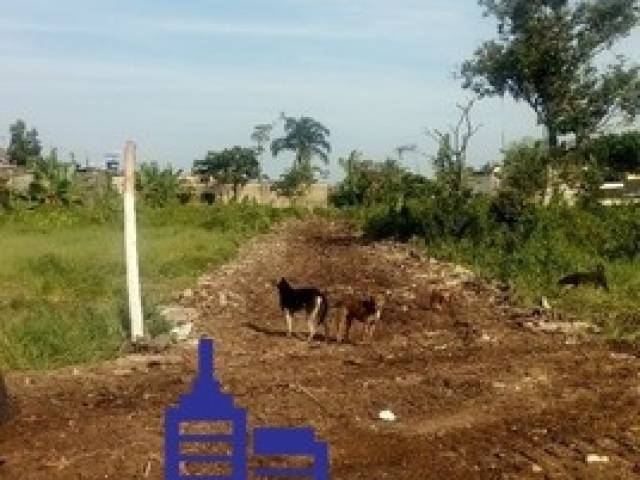 Terreno para Venda em Itanhaém - 5