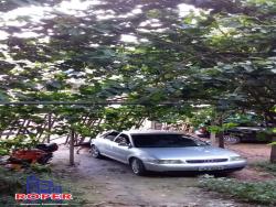 #CH01137 - Chácara para Venda em Mairiporã - SP - 3