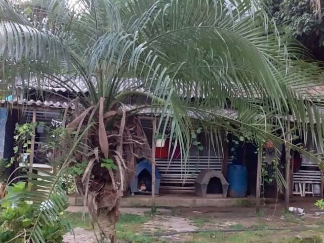 #CH01137 - Chácara para Venda em Mairiporã - SP