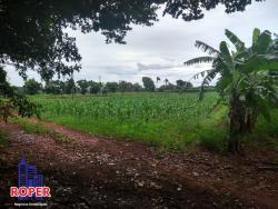 #ST00013 - Sítio para Venda em Sorocaba - SP - 1