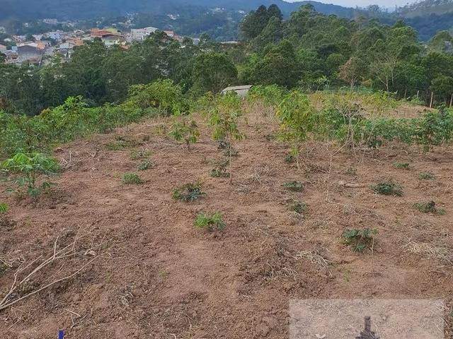 Área para Venda em Ribeirão Pires - 4