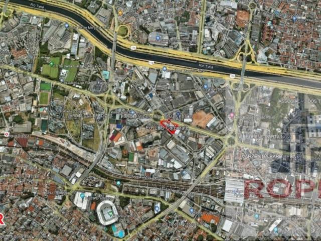 Ponto Comercial para Locação em São Paulo - 4